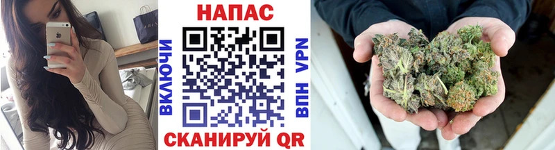 нарко площадка наркотические препараты  blacksprut   Шишки марихуана планчик  Канск  закладки 